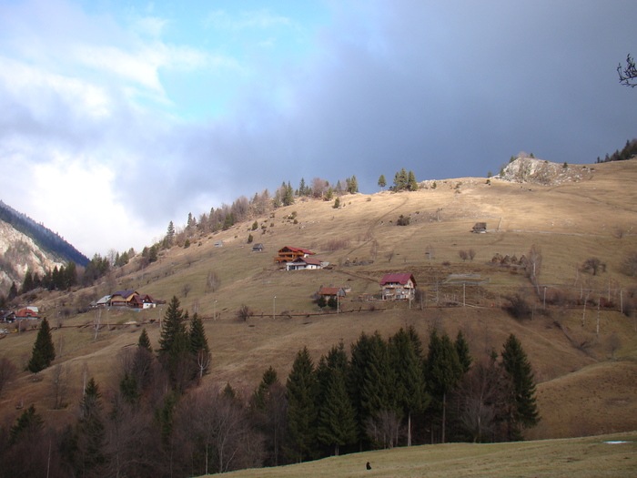 DSC09932 - vacanta sat Magura 2011