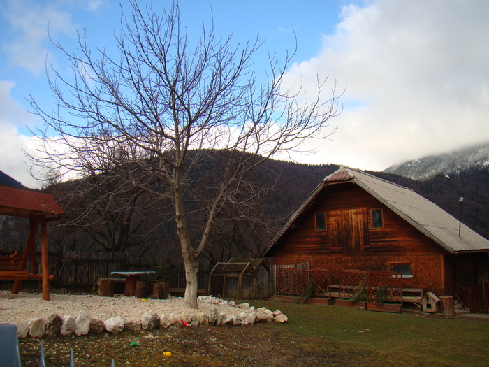 DSC09942 - vacanta sat Magura 2011