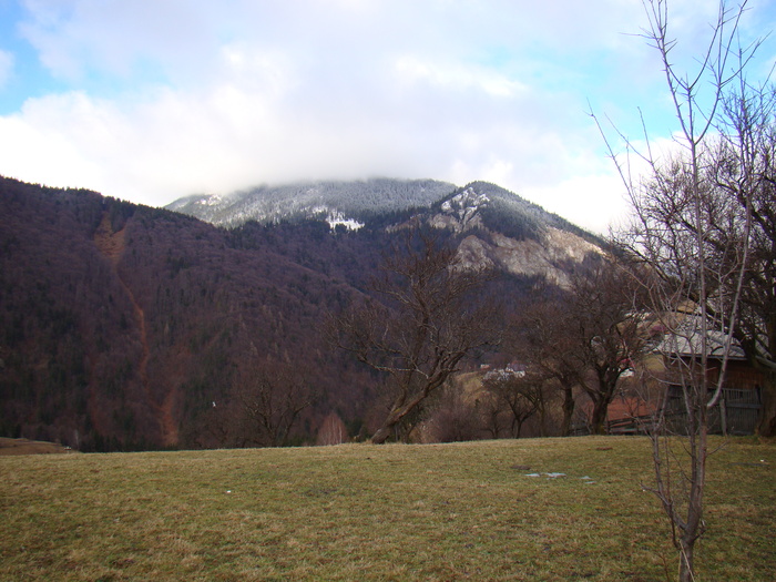 DSC09947 - vacanta sat Magura 2011