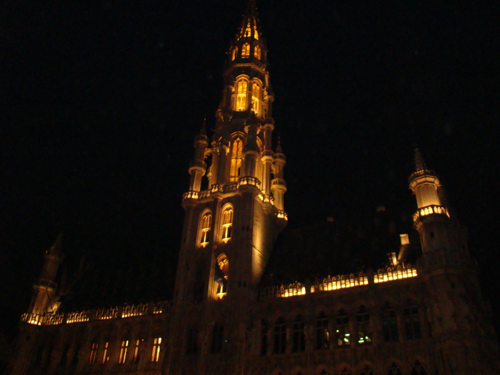 DSC00078 - vacanta Bruxelles 2011