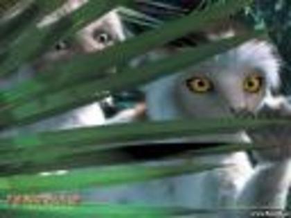 TN-Dinozaur3 - Poze-care nu au legatura cu porumbeii