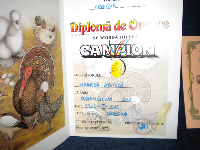  - Trofee si diplome