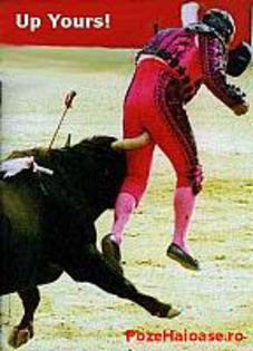 matador_poze_haioase