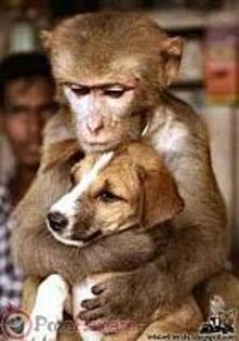 fotografiile_anului_13