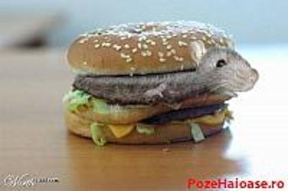 burger_cu_soarece_inside