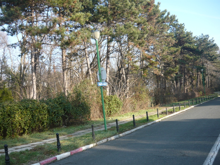 o luam spre vilele speciale