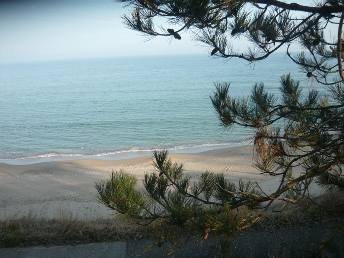 coboram spre plaja - NEPTUN