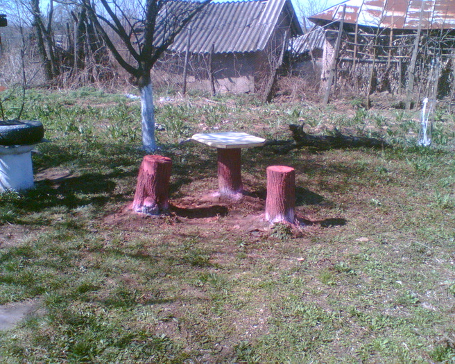 Imag029 - Drumetii prin tara