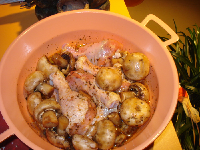 PULPELE DE PUI,LA FEZANDAT - GUSTOS