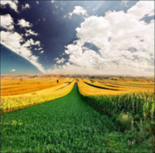 NatureByKatarinaStefanovic10