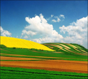 NatureByKatarinaStefanovic14