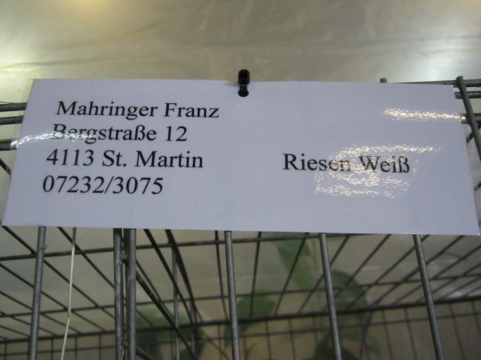 adresa lui Franz - Mahringer Franz campion Austria 2010
