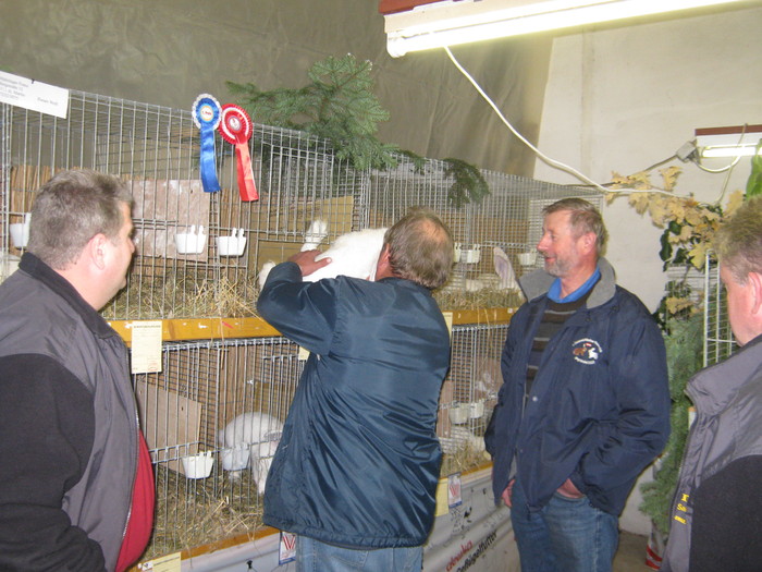 cei 2 Franz cu iepurii si albitrii - Mahringer Franz campion Austria 2010
