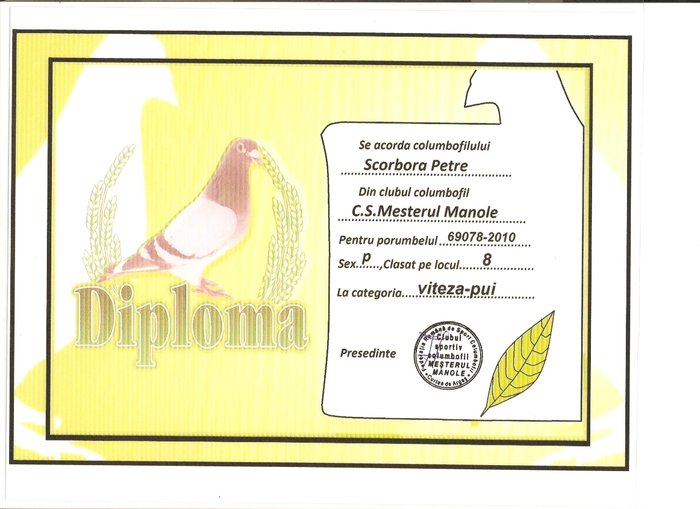 scan0003 - Diplome pui 2010