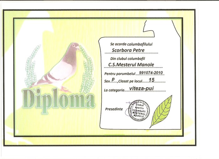 scan0008 - Diplome pui 2010