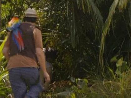 Wizards-of-Waverly-Place-The-Movie-O-familie-de-magicieni-2364858,309776