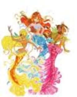 stellawinxclub35