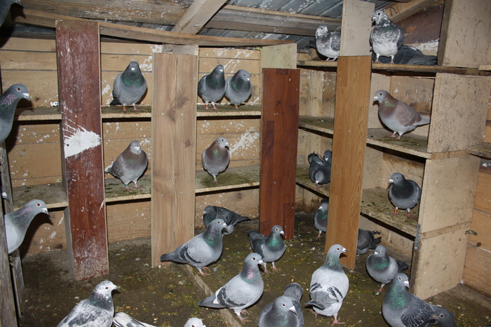 IMG_3285 - doar amintiri