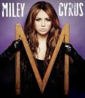 imagesCAYL57J4 - wow wow wow