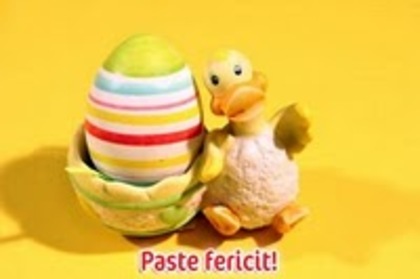 paste fericit