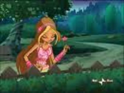 bloomwinxclub1 - album pentru BloomWinxClub