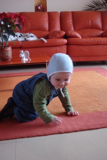 MIHAELA,LA TINE SUNT SCAME PE COVOR:)) - ANDREI
