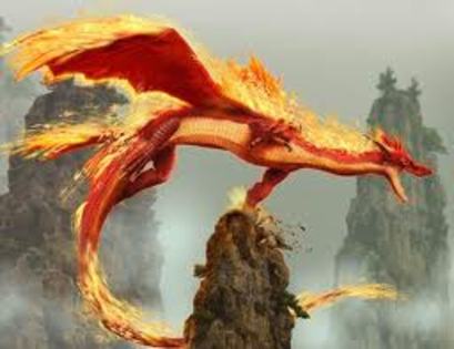 dragonul de foc - dragoni
