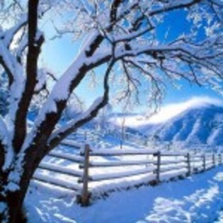 imagini_frumoase_de_iarna_04-150x150 - peisaje iarna