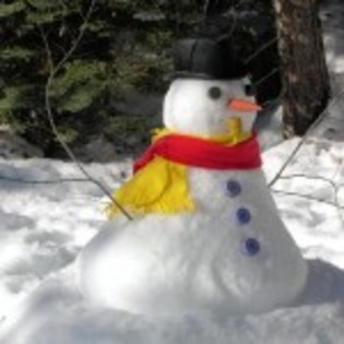 imagini_frumoase_de_iarna_om-de-zapada_-150x150