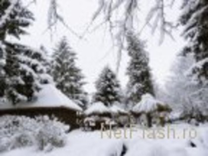 imgrS9jr3 - peisaje iarna