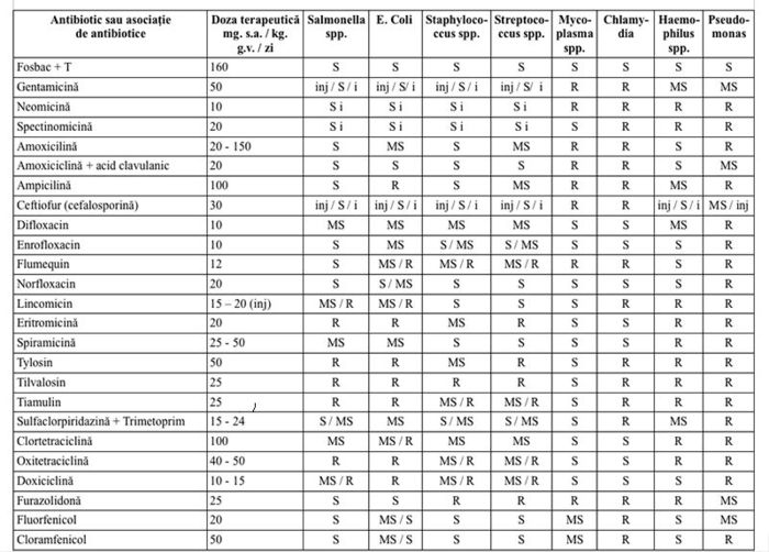 tabel-antibiotice vio jpg - efectul antibioticelor la porumbei