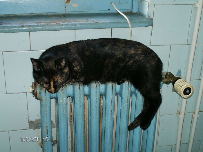 ce cald si bine... - mita _2011