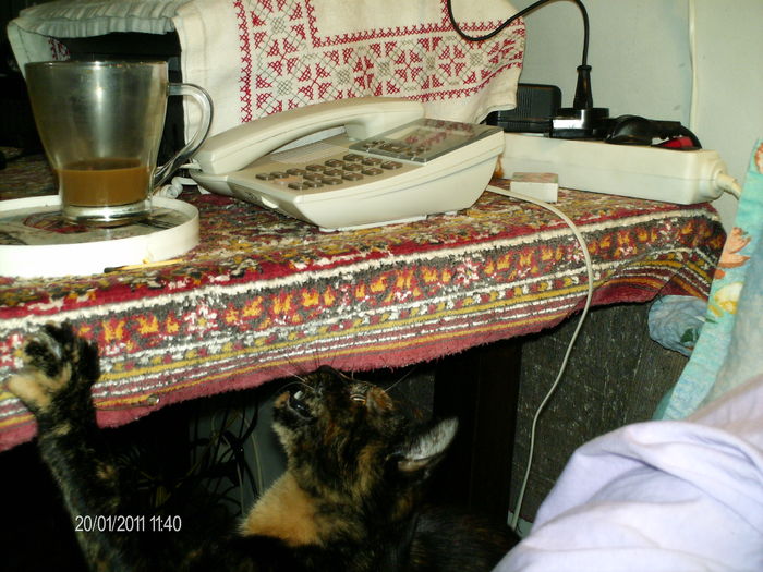  - mita _2011