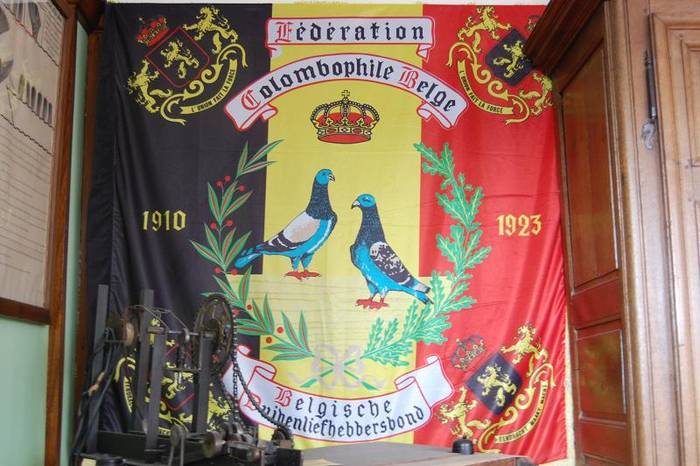 BELGE