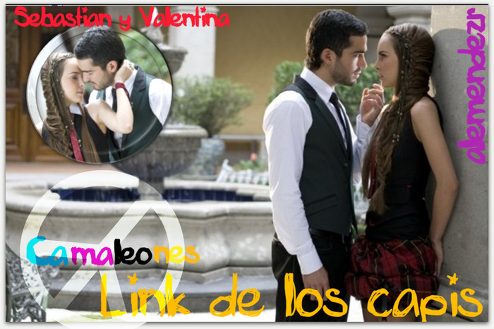 bannercamaleones