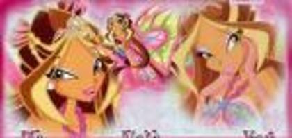 fanwinxclub13