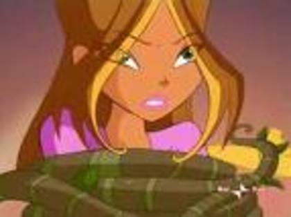 fanwinxclub17