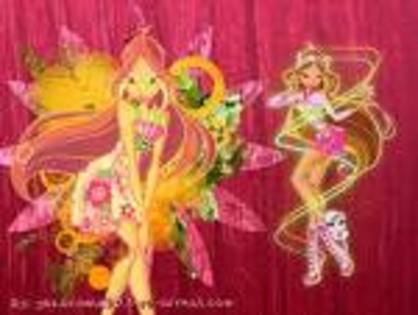 fanwinxclub19