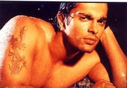 dill mill gayye (33) - Karan Singh Grover