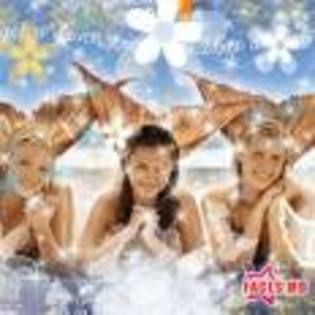 3  surori