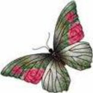 wow3456 - poze frumoase
