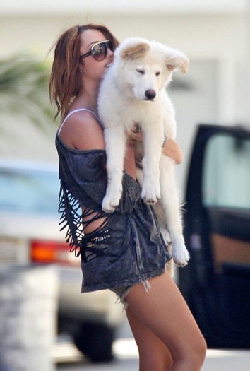 miley-cyrus-siwy-shorts-surrender-4