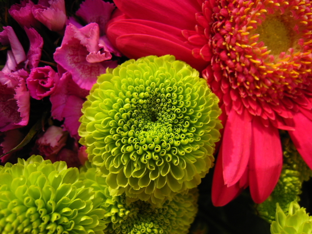 Flowers_10