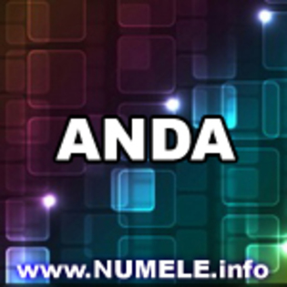 019-ANDA nume porecla avatar