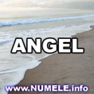 024-ANGEL av cu nume - Numele tau