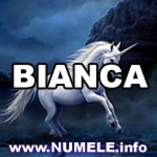 031-BIANCA avatare mess