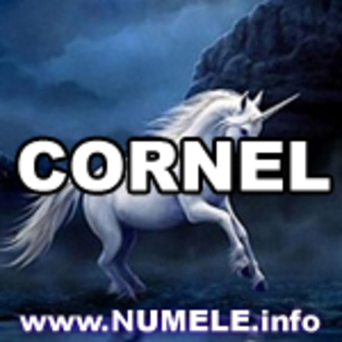 053-CORNEL avatare mess - Numele tau