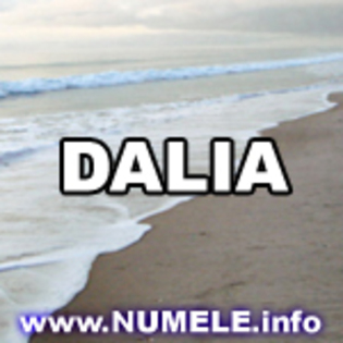 063-DALIA av cu nume - Numele tau