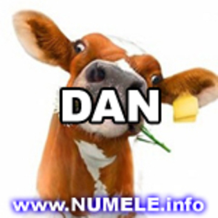 064-DAN avatare cool - Numele tau