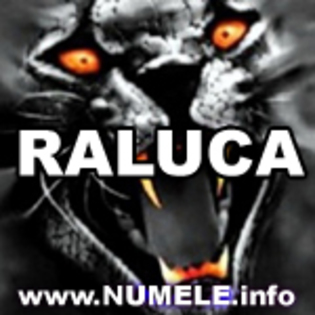 192-RALUCA avatare nume baieti